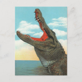 Herr Alligator Postkarte