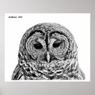 Herr Barred Owl - 2025 Poster
