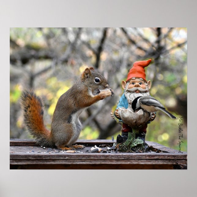 Herr Bickles Das Eichhörnchenplakat Poster (Vorne)