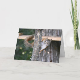 Herr Bickles Grußkarte Karte