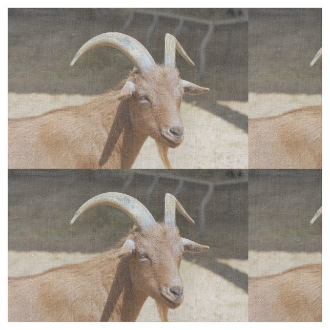 Herr Bill Stoff (Nahaufnahme)