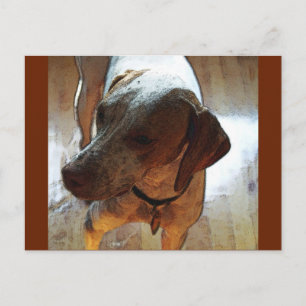 Herr Bo-Bo Postkarte