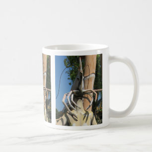Herr Crustacean AKA Lobster Leiter ... Buddhist He Kaffeetasse