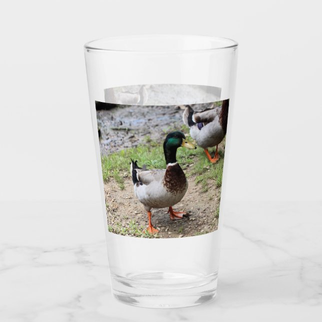 Herr Duck Glas (Vorderseite)