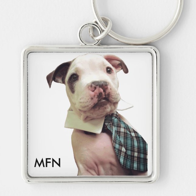 Herr Fig Newton Keychain Schlüsselanhänger (Vorne)