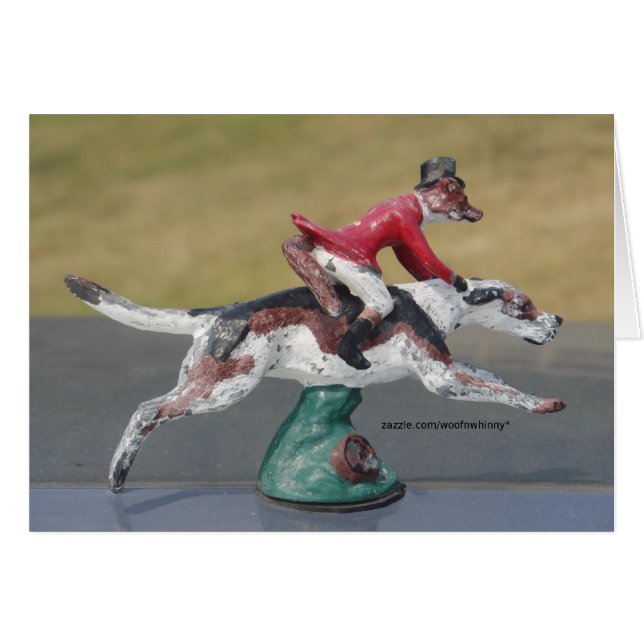 Herr Fox Cross-Country (Vorderseite (Horizontal))