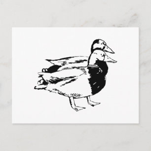 Herr & Frau Duck Postkarte