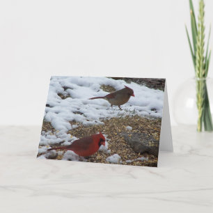 Herr & Frau Kardinal Karte