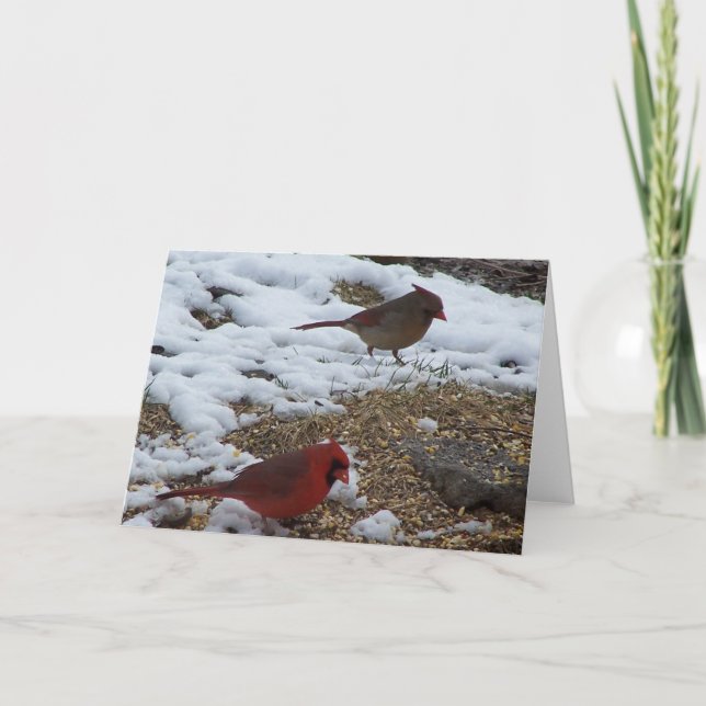 Herr & Frau Kardinal Karte (Vorderseite)