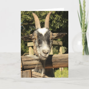 Herr Goat Karte