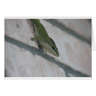 Herr Green Lizard