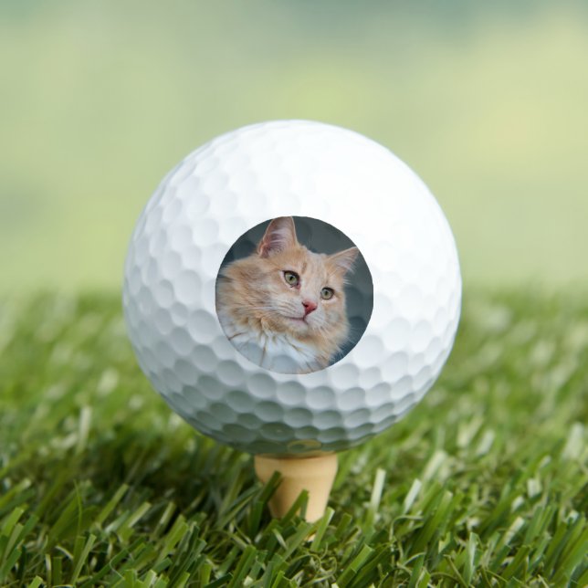 Herr Handsome Golfball (Insitu T-Shirt)