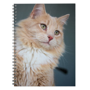 Herr Handsome Notizblock