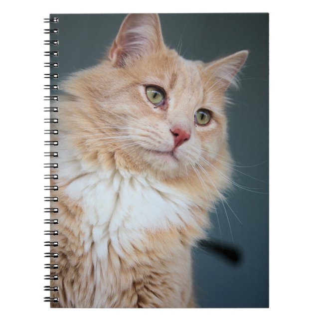 Herr Handsome Notizblock (Vorderseite)