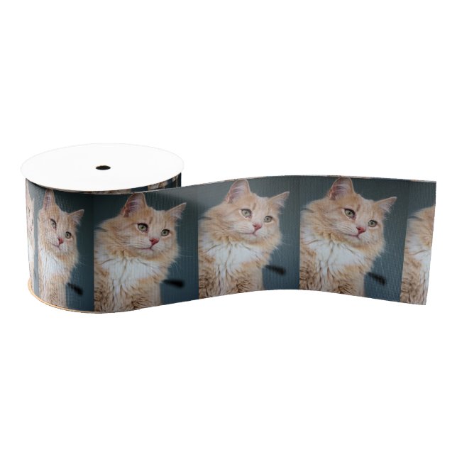 Herr Handsome Ripsband (Spule)