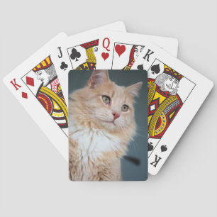 Herr Handsome Spielkarten