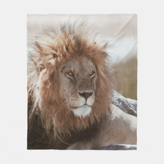 HERR LION FLEECEDECKE (Vorderseite)