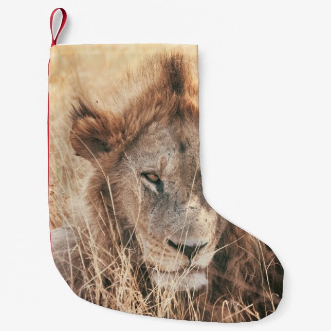 HERR LION KING KLEINER WEIHNACHTSSTRUMPF (Vorderseite)