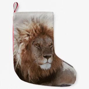 HERR LION KLEINER WEIHNACHTSSTRUMPF