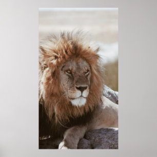 HERR LION POSTER