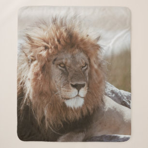 HERR LION SHERPADECKE