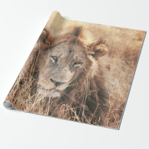 HERR LÖWENKÖNIG GESCHENKPAPIER