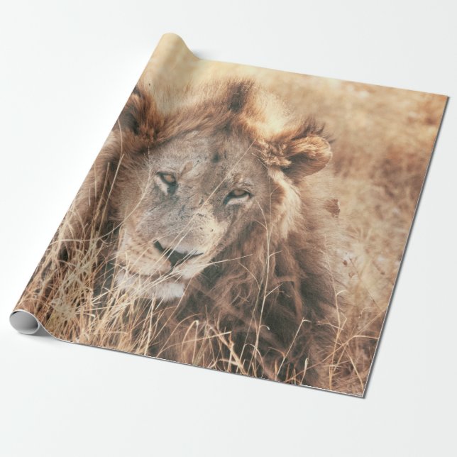 HERR LÖWENKÖNIG GESCHENKPAPIER (Ungerollt)
