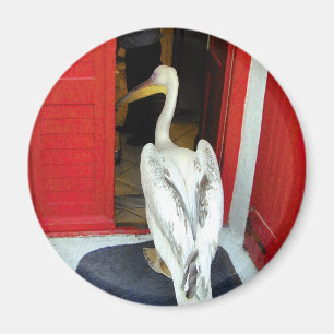 Herr Mykonos Magnet