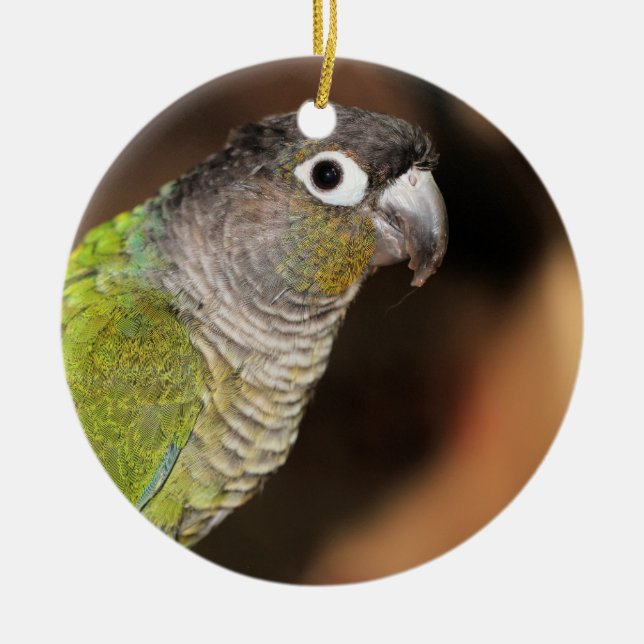 Herr Oliver Keramik Ornament (Vorne)