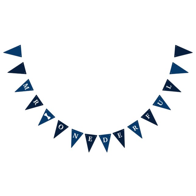 Herr Onederful Birthday Banner (Alle)