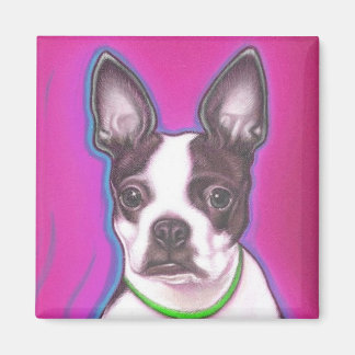 Herr Pickles den Magneten Magnet