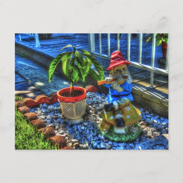 Herr Piper Gnome - Postkarte (Vorderseite)