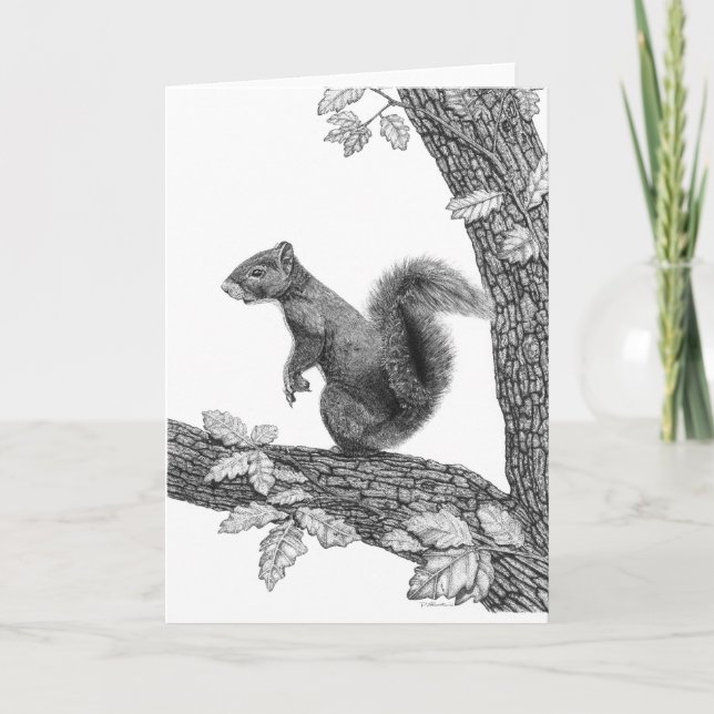 Herr Squirrel - leere Anmerkungs-Karte Karte (Vorderseite)