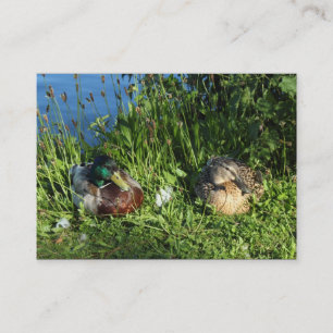 Herr und Frau Mallard Visitenkarte