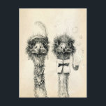Herr und Frau Ostrich Postkarte<br><div class="desc">Vintage Postübergangskarte. Das Original des Künstlers zeichne auch für Brautparty oder Einladung geeignet.</div>