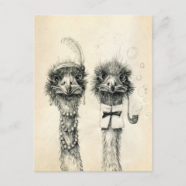 Herr und Frau Ostrich Postkarte (Vorderseite)
