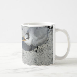 Herr und Frau Royal Tern auf dem Strand Kaffeetasse