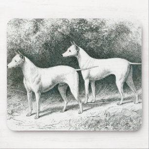Herr Vero Shaw Terrier White English Mousepad
