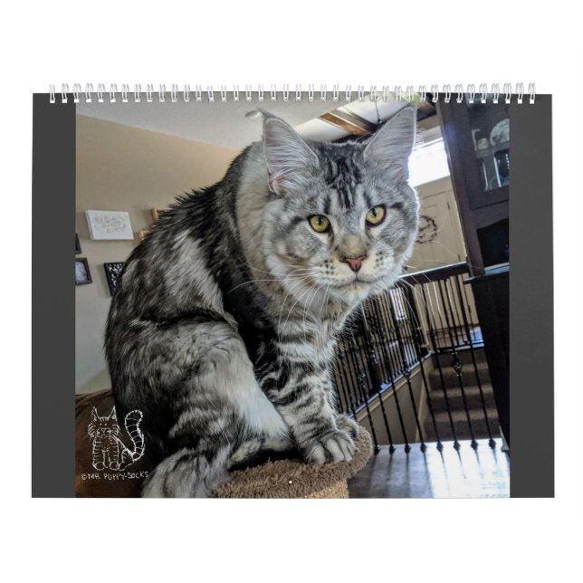 Herr Welpe-Socke Calendar Kalender (Titelbild)