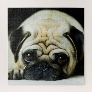 Herr Wrinkles