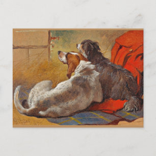Herring - Ein Hund und ein Bearded Collie,  Postkarte
