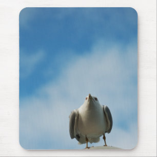 Herring Gull Mousepad