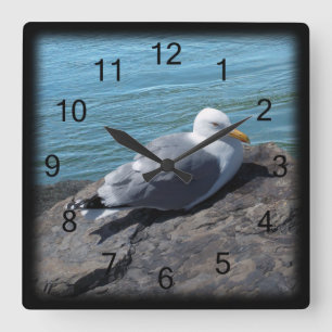 Herring Gull on Rock Jetty Quadratische Wanduhr