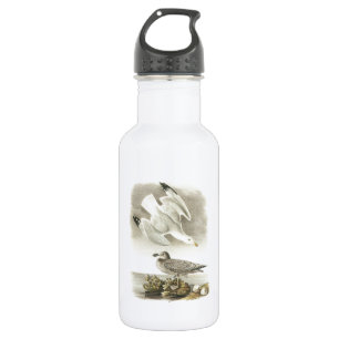 Herring Gull von Audubon Edelstahlflasche