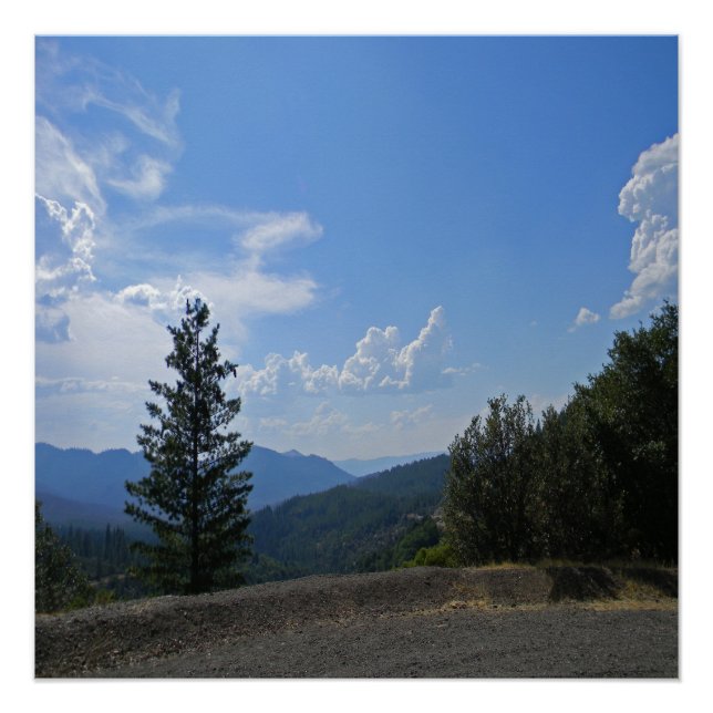 Herrliche Aussicht auf das Hayfork-Tal... Poster (Vorderseite)