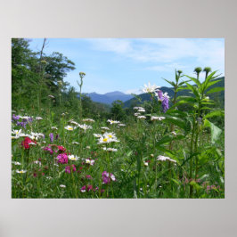 Herrliche Aussicht auf die Blume Poster