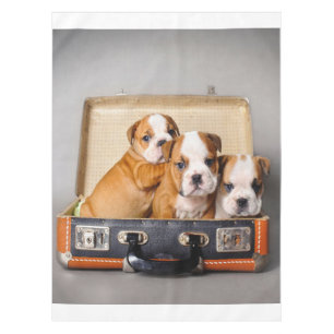 Herrliche Bulldoggen Welpen   Hund Lover Tischdecke