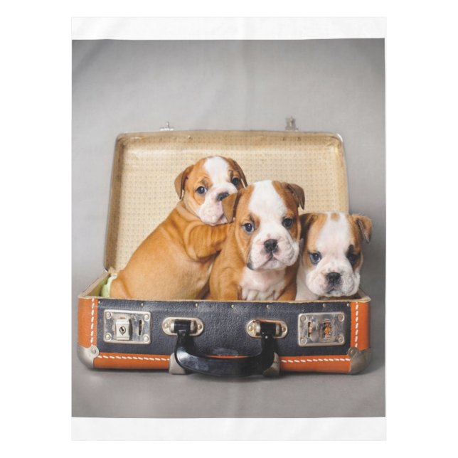 Herrliche Bulldoggen Welpen | Hund Lover Tischdecke (Vorderseite)