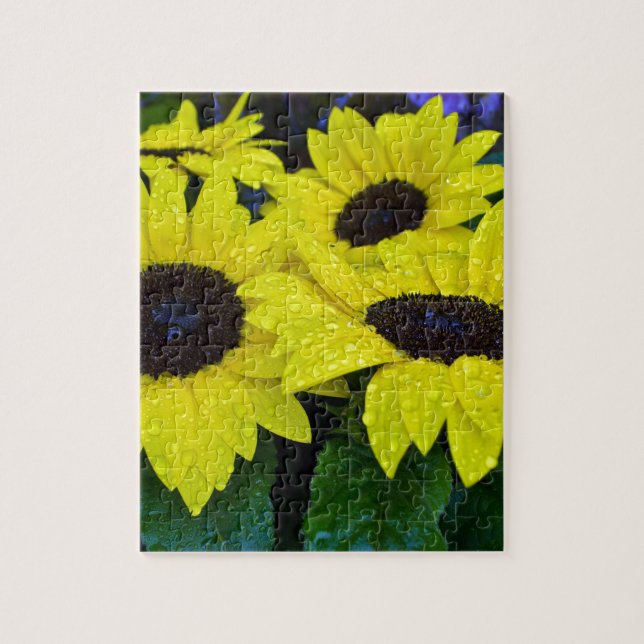 HERRLICHE GARTEN-SONNENBLUMEN (Vertikal)