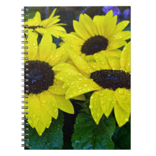 HERRLICHE GARTEN-SONNENBLUMEN NOTIZBLOCK